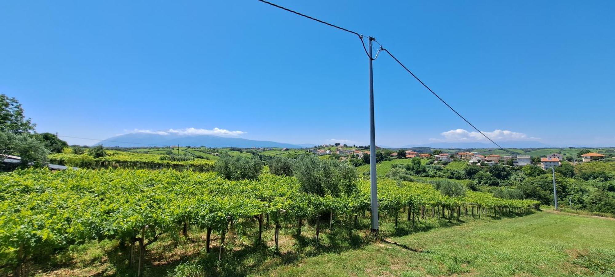 B & B Le Tre Rose Tollo Exterior photo